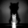 Hadži Pešićeva's profile picture
