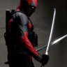 Hawk Phoenix's profile picture