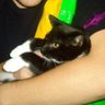 Luke Testa's profile picture