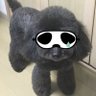 ki††y🐰💛パスタ茹でたいミミッキュ's profile picture