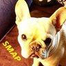Profilbild von 🌟pi-po244🎸👖🎵📎🐶