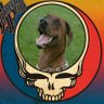 Chris's profile picture