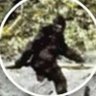 Squatch's profile picture
