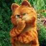  sharuk profil fotoğrafı