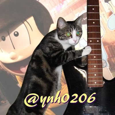 ynh0206's profile picture