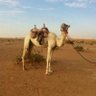 ااالشمري.'s profile picture