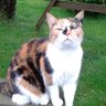 Beth *** profil fotoğrafı