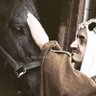 Profilbild von Abu:Bijad,,,,
