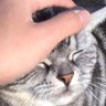 Profilbild von Tet