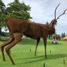 バシフナさん profil fotoğrafı