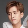 薯条战士's profile picture