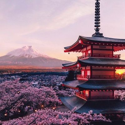 AestheticsJapan's profile picture