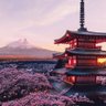 Aesthetics Japan 🇯🇵 profil fotoğrafı