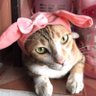 Rainny🌧's profile picture