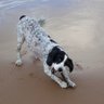 Dug profil fotoğrafı