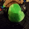 Feuer Shell's profile picture