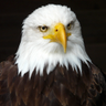 Фото профиля Michael Bland