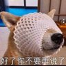 爹地 profil fotoğrafı