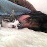 高橋翔太's profile picture