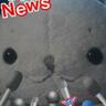 しろんた 的头像