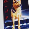 Ros xx #ITALIANO NO MERDA Q.I. 200's profile picture