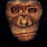 Lehmith profil fotoğrafı