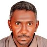 حسن شرفي's profile picture