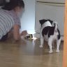 kuukk 的头像