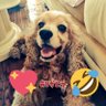 @powcchi profil fotoğrafı