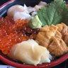 Фото профиля 旅したい しまこ