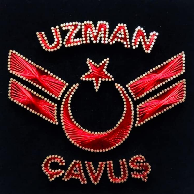 uzmancavustr's profile picture