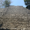 Ixca C.'s profile picture