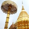Profilbild von Chiang Mai