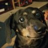 Profilbild von Bonnie Suba