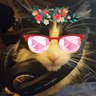 Profilbild von AlexiaK