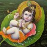 Arun's profile picture