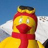Profilbild von Jean-Vince