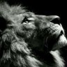 FaHaD's profile picture