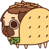 Profilbild von Pug Taco