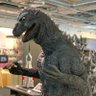人見知りな4日 的头像