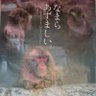 Profilbild von ウキウキ