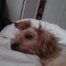Profilbild von Sandy