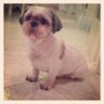 ๐ฎ๐นEnzo๐ฎ๐น's profile picture