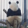 Profilbild von ちろたん