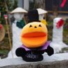 biwa's profile picture