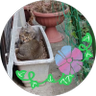 マーダンブラッド profil fotoğrafı