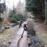 Фото профиля Rhönschnegge