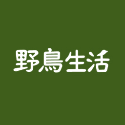 ã²ãã@éé³¥çæŽ»'s profile picture
