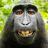 man of the Universe's profile picture
