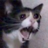 imajoke's profile picture